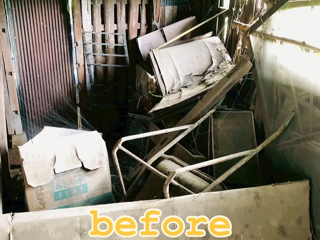 📸 Before → After