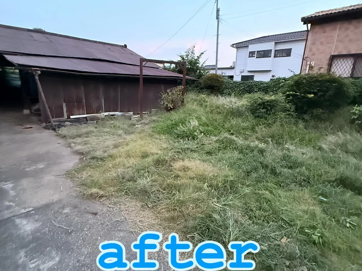 📸 Before → After