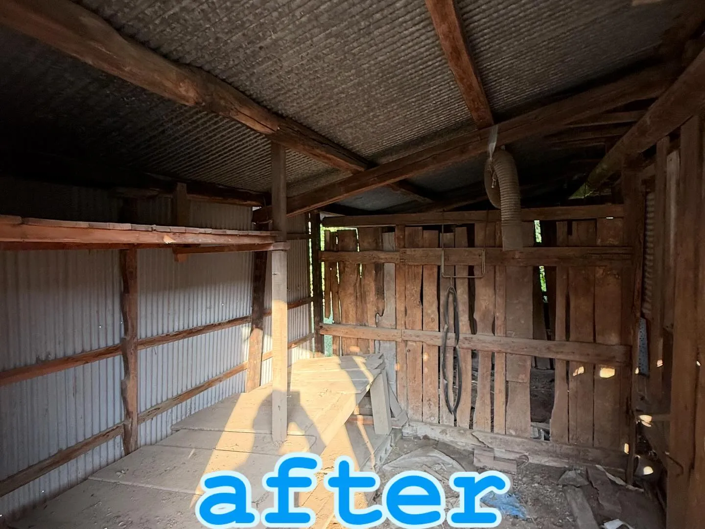 📸 Before → After