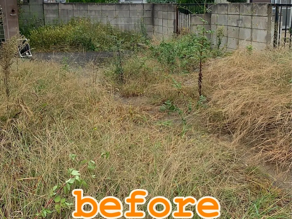 【遺品整理＋草刈り】