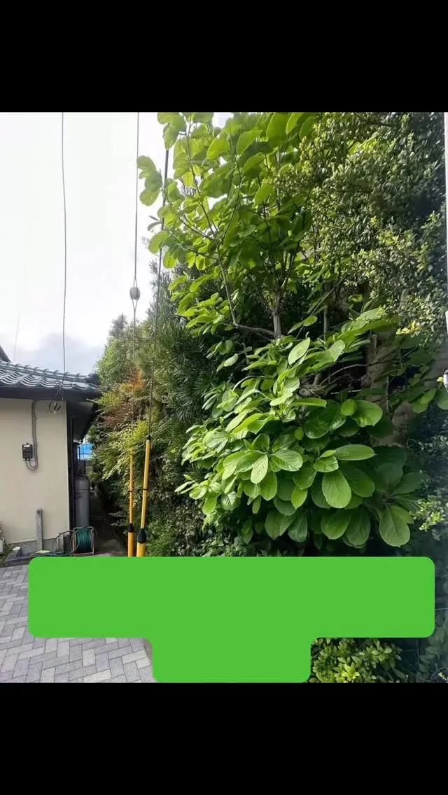 「庭が荒れ放題で困っている…」