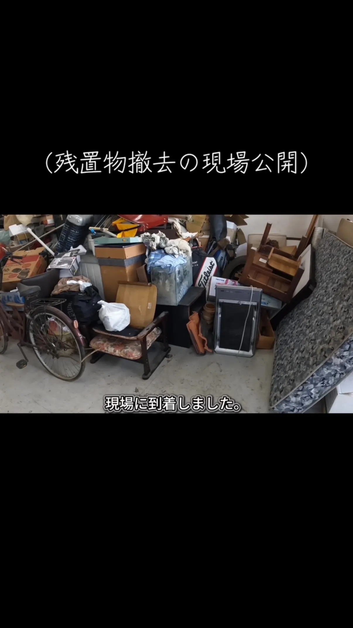 心心福の日常。